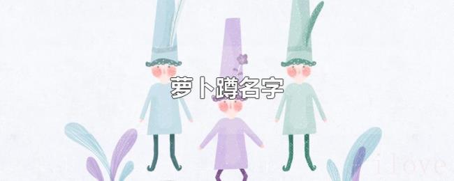 萝卜蹲名字