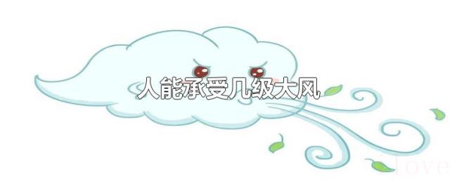 人能承受几级大风