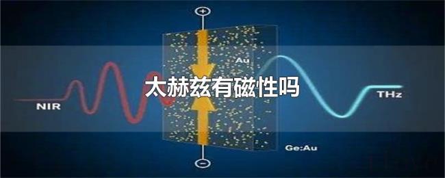 太赫兹有磁性吗