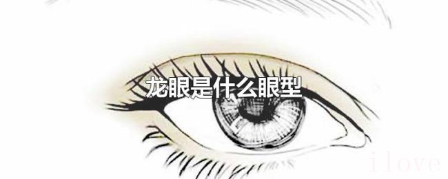 龙眼是什么眼型 龙眼是什么眼型