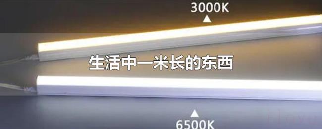 生活中一米长的东西 生活中一米长的东西