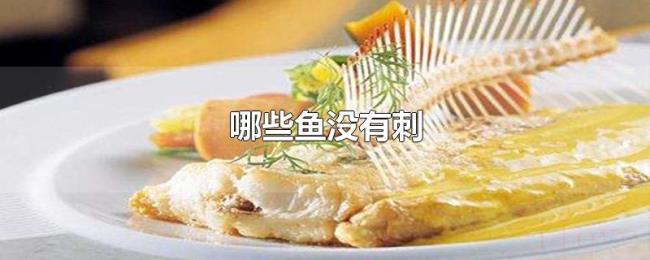 哪些鱼没有刺 哪些鱼没有刺