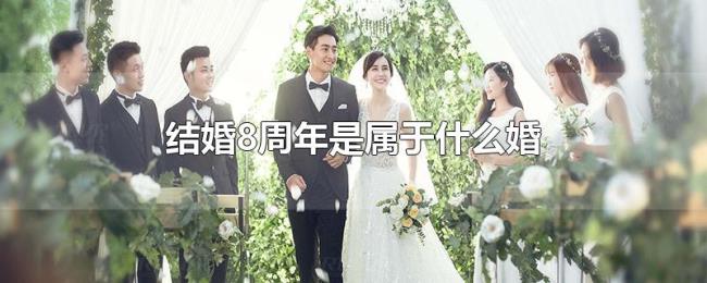结婚8周年是属于什么婚