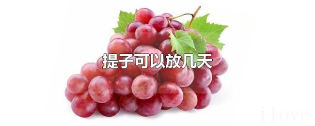 提子可以放几天