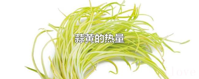 蒜黄的热量 蒜黄的热量
