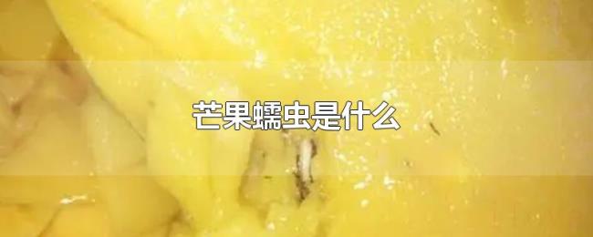 芒果蠕虫是什么