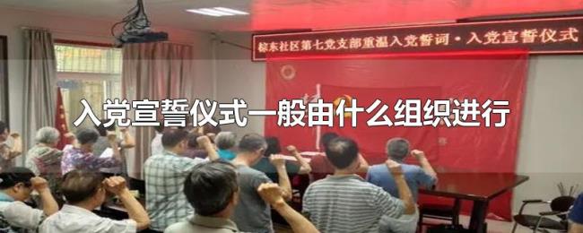 入党宣誓仪式一般由什么组织进行