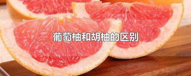葡萄柚和胡柚的区别 葡萄柚和胡柚的区别