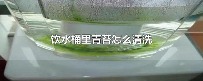 饮水桶里青苔怎么清洗