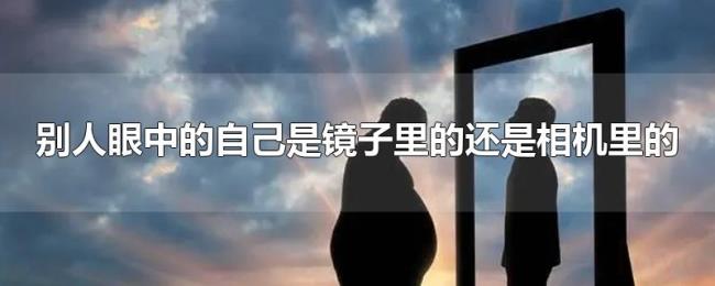 别人眼中的自己是镜子里的还是相机里的