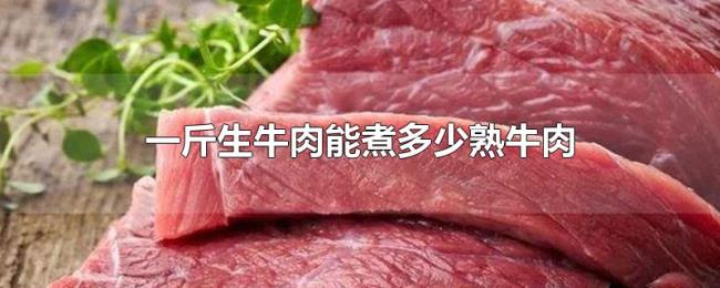 一斤生牛肉能煮多少熟牛肉