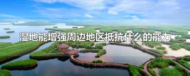 湿地能增强周边地区抵抗什么的能力
