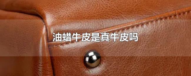 油蜡牛皮是真牛皮吗