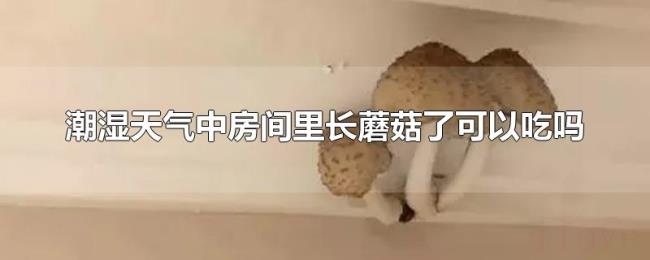 潮湿天气中房间里长蘑菇了可以吃吗 潮湿天气中房间里长蘑菇了可以吃吗