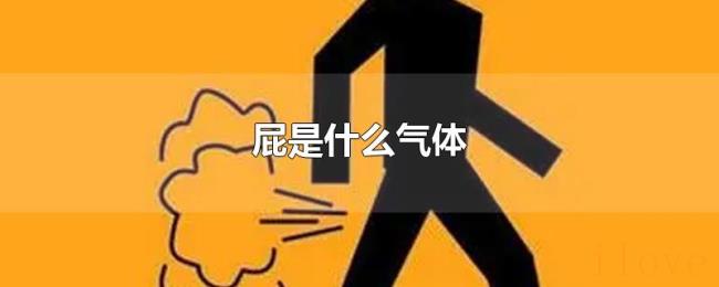 屁是什么气体 屁是什么气体