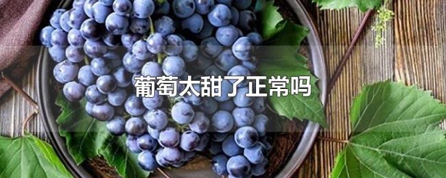 葡萄太甜了正常吗