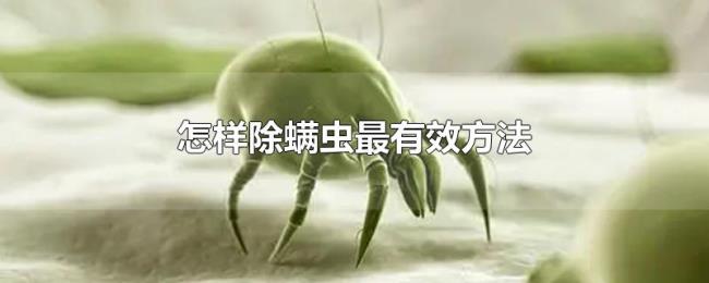 怎样除螨虫最有效方法