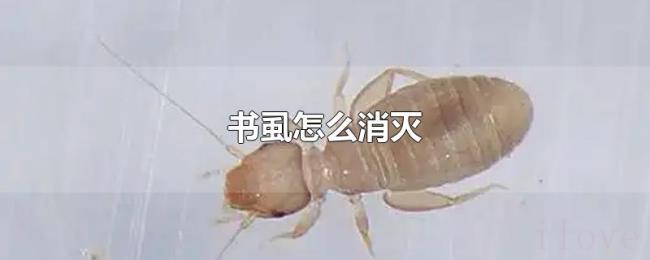 书虱怎么消灭 书虱怎么消灭
