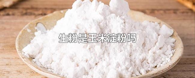生粉是玉米淀粉吗 生粉是玉米淀粉吗