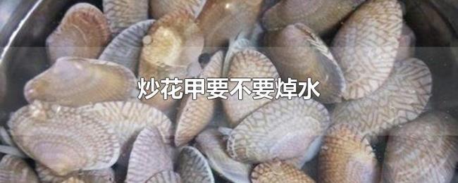 炒花甲要不要焯水