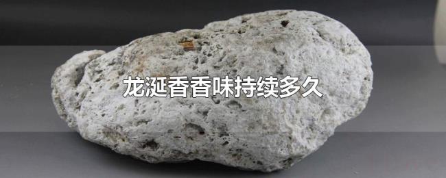 龙涎香香味持续多久