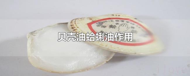 贝壳油蛤蜊油作用