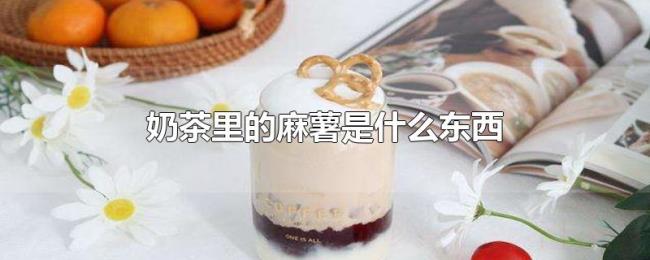 奶茶里的麻薯是什么东西