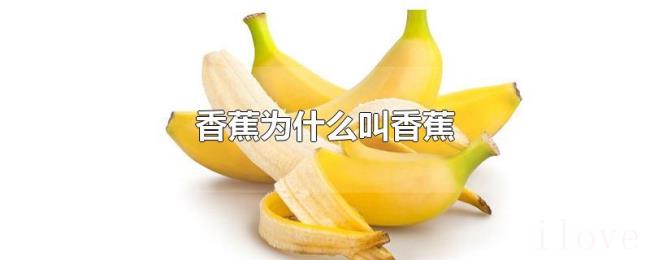 香蕉为什么叫香蕉 香蕉为什么叫香蕉