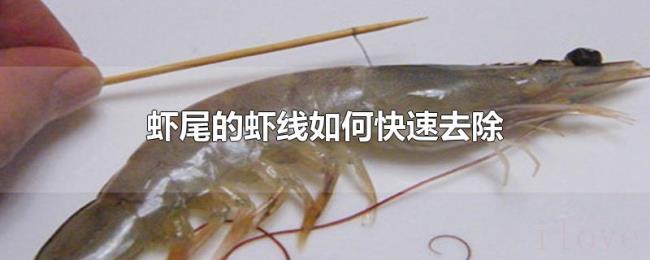 虾尾的虾线如何快速去除