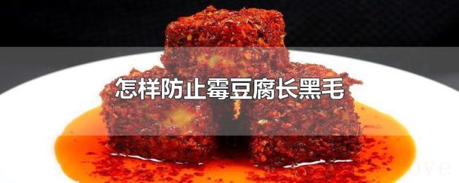 怎样防止霉豆腐长黑毛 怎样防止霉豆腐长黑毛