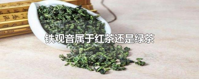 铁观音属于红茶还是绿茶