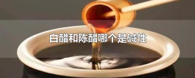 白醋和陈醋哪个是碱性 白醋和陈醋哪个是碱性