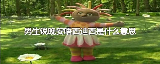 男生说晚安唔西迪西是什么意思 男生说晚安唔西迪西是什么意思