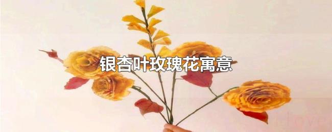 银杏叶玫瑰花寓意 银杏叶玫瑰花寓意