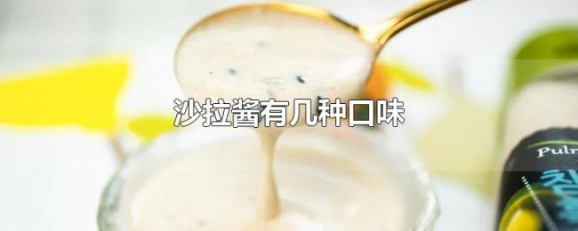 沙拉酱有几种口味