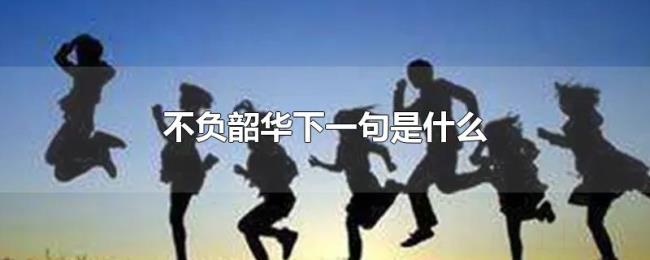 不负韶华下一句是什么 不负韶华下一句是什么