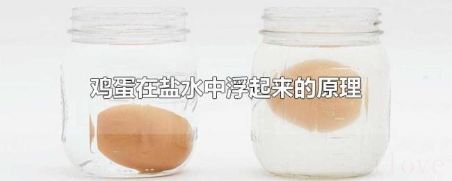 鸡蛋在盐水中浮起来的原理