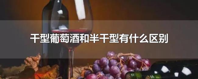 干型葡萄酒和半干型有什么区别