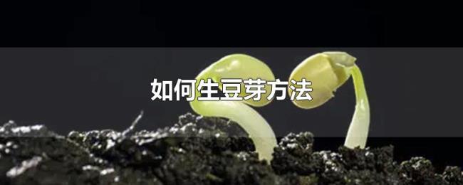 如何生豆芽方法