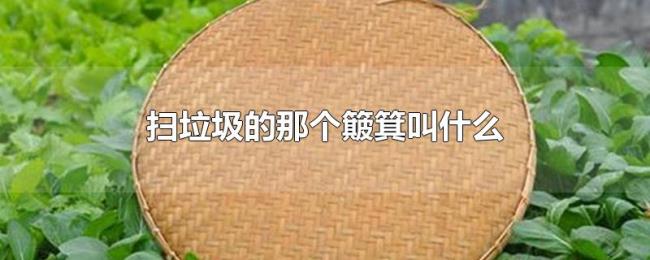 扫垃圾的那个簸箕叫什么 扫垃圾的那个簸箕叫什么