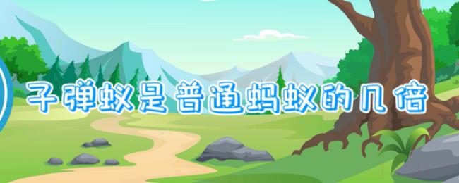子弹蚁是普通蚂蚁的几倍