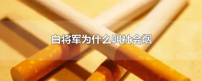 白将军为什么叫社会烟