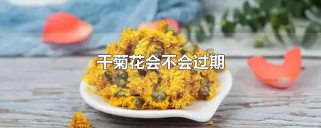 干菊花会不会过期 干菊花会不会过期