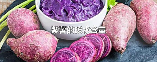 紫薯的碳水含量 紫薯的碳水含量