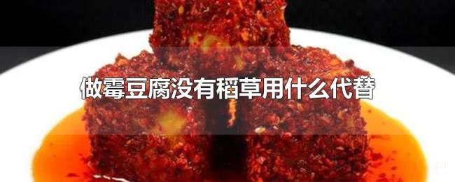 做霉豆腐没有稻草用什么代替