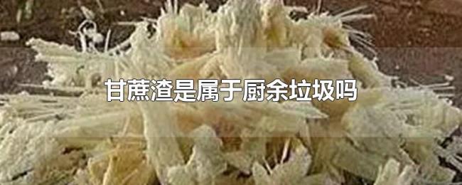 甘蔗渣是属于厨余垃圾吗 甘蔗渣是属于厨余垃圾吗