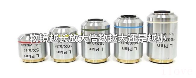 物镜越长放大倍数越大还是越小