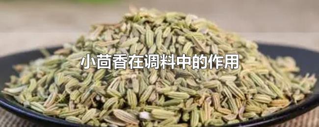 小茴香在调料中的作用 小茴香在调料中的作用