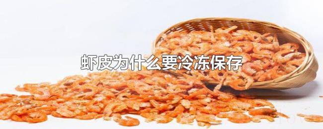 虾皮为什么要冷冻保存
