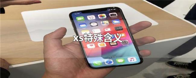 xs特殊含义 xs特殊含义